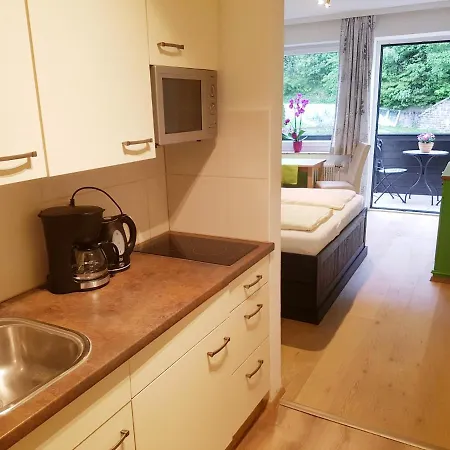 Gastein 公寓 巴德加斯坦